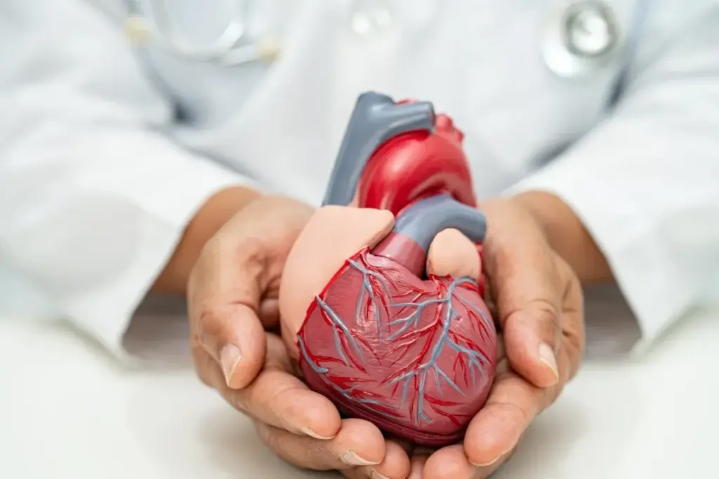 SEP 10181 image 1 LIV Hospital