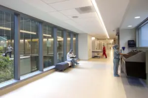 Hyperlipidemia: Shocking Causes You Must Know