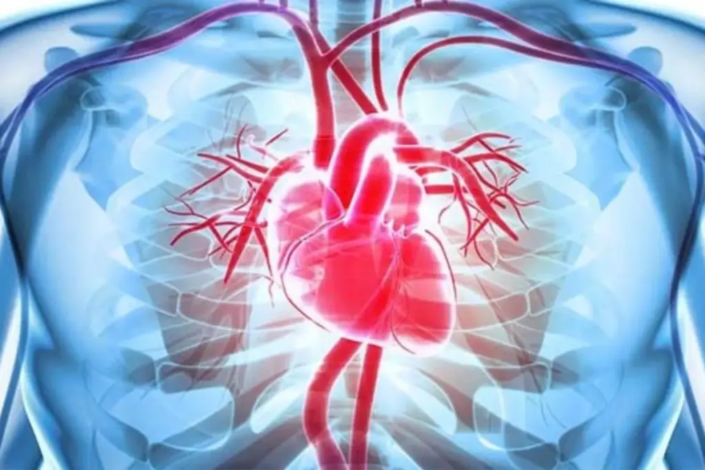 The Relationship Between Exercise and Heart Health