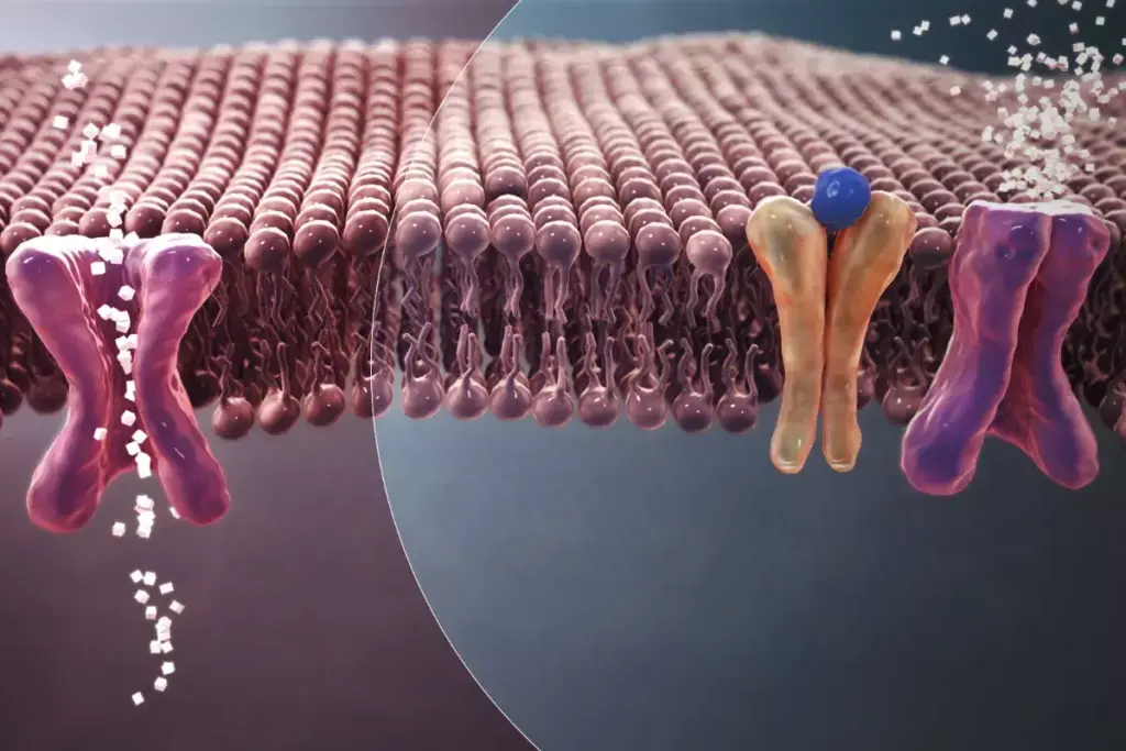 1. Understanding When and Why You Need Glucose Screening During Pregnancy