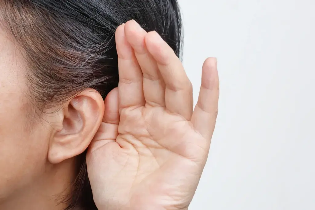 Conductive Hearing Loss: Best Treatment Tips 2 SEP 12302 image 2 LIV Hospital