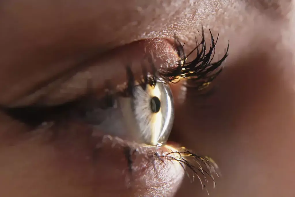 Risk Factors That Define a Glaucoma Suspect