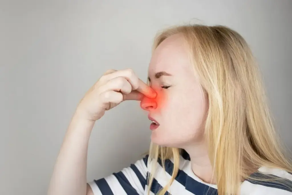 Understanding Nasal Turbinates and Their Function