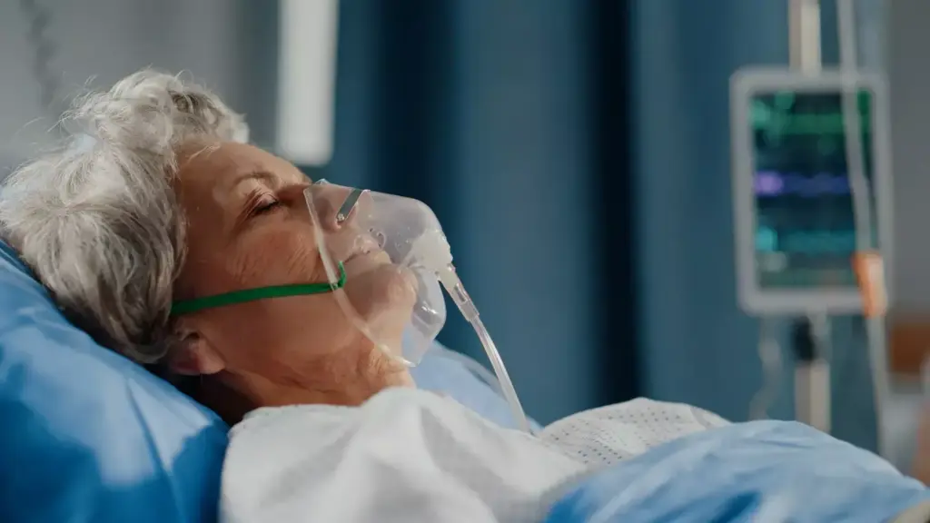 Immunosenescence and Inflammaging: Why the Immune System Weakens with Age