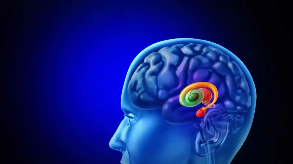 How to Improve Brain Function: 10 Proven Ways 3 Physical Strategies for Improving Brain Function