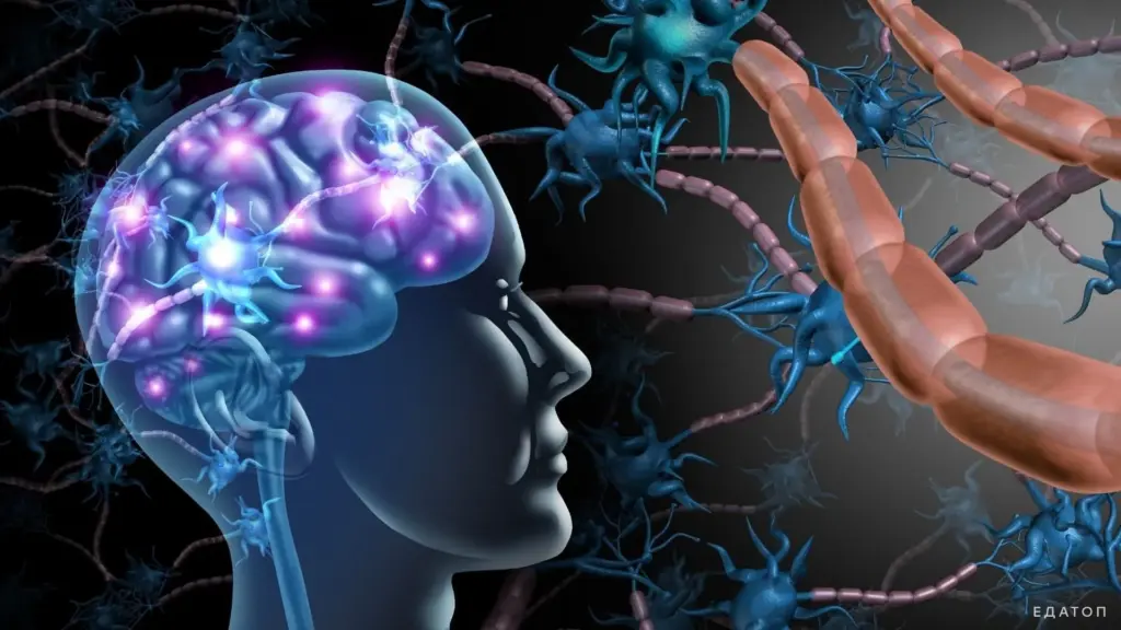 Is MS an Autoimmune Disease? What You Need to Know