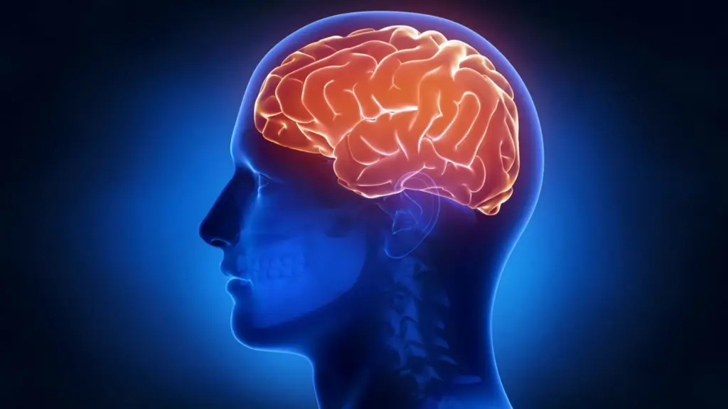 How to Improve Brain Function: 10 Proven Ways 1 How to Improve Brain Function: 10 Proven Ways