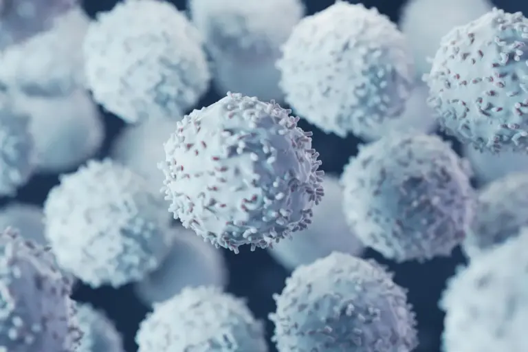 What Does High Lymphocytes Mean and What Are the Symptoms?