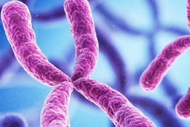 What Does No Aneuploidy Mean on NIPT Test Results?