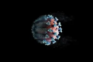 What is ADCC Antibody and How Does It Work?