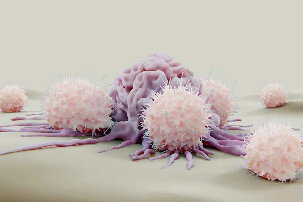 How to Boost High Natural Killer Cells Naturally 2 Feb 8128 image 2 LIV Hospital