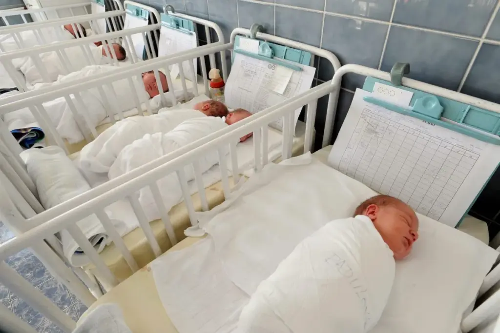 Understanding Natural Birth Rate and Replacement Fertility