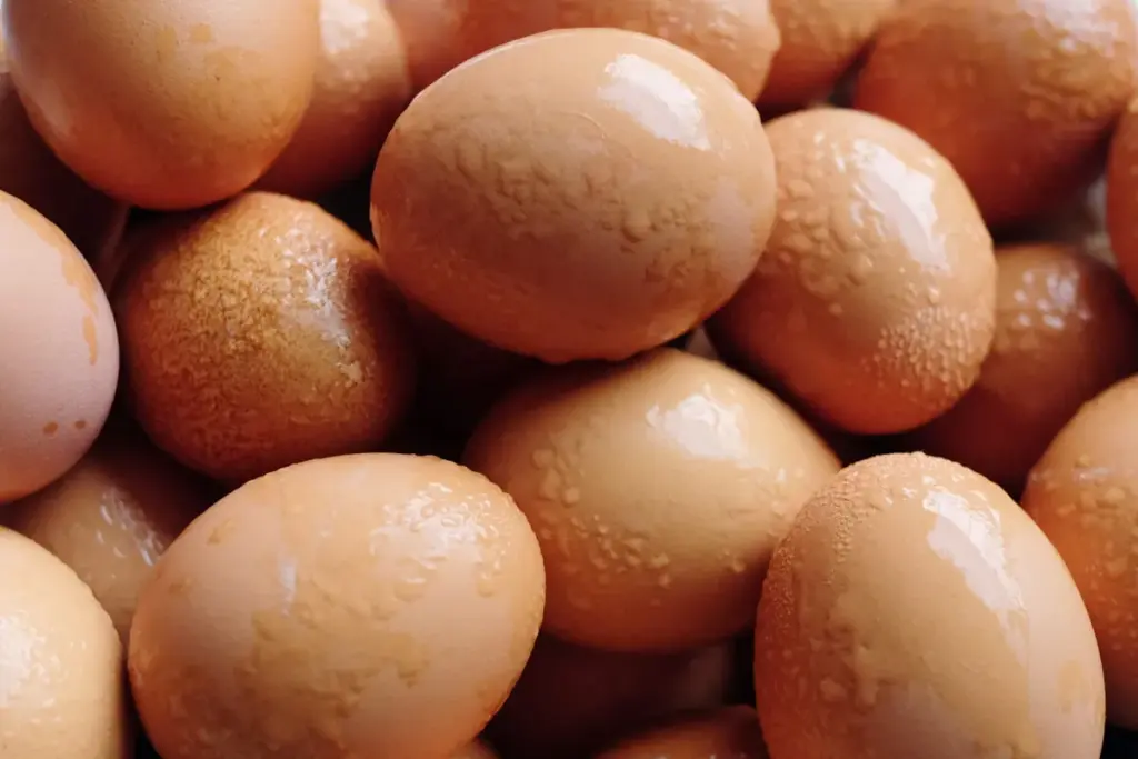 Why Freeze Eggs and Important Safety Guidelines