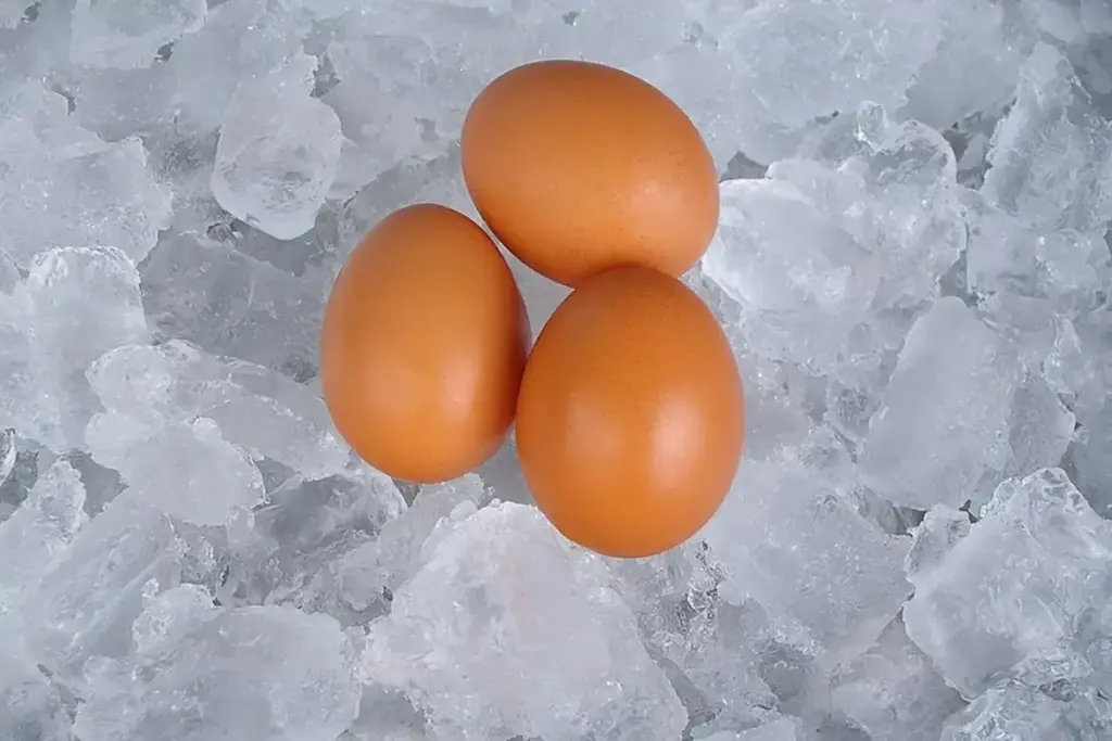 How to Freeze Whole Eggs: A Complete Guide