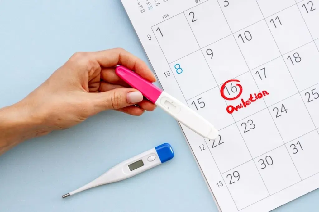 How to Manage Ovulatory Dysfunction: A Complete Guide