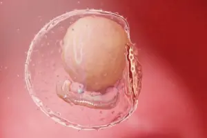 5 Key Signs of Complex Abnormal Embryo Development