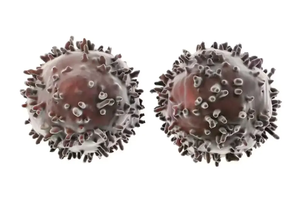 5 Latest Bioinformatics Software Updates You Need to Know 2 Why Staying Current With Computational Biology Tools Matters