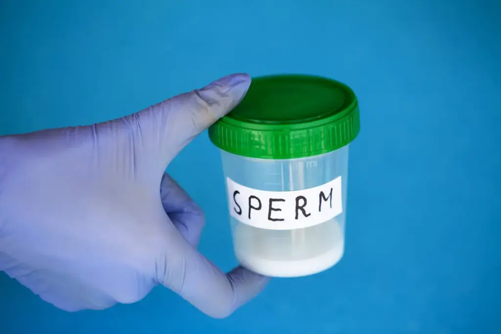 How to Increase Your Sperm Count: A Complete Guide 3 How to Increase Low Sperm Count