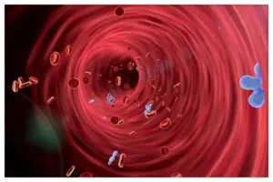 Feb 8040 image 1 LIV Hospital