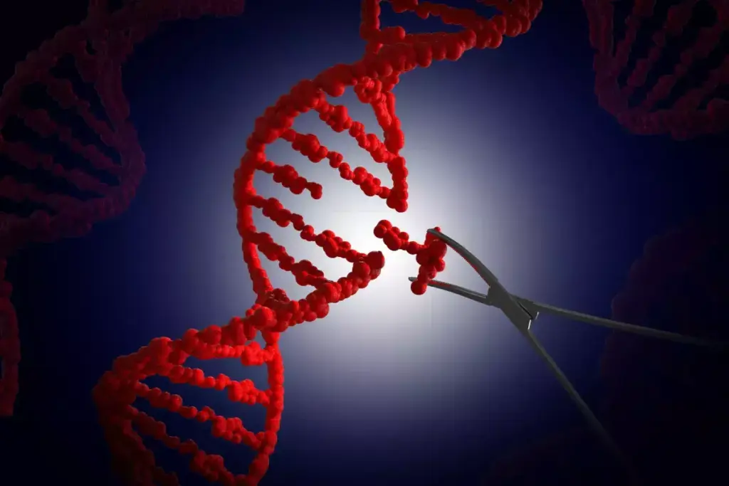 7 Best Plasmid Design Software Tools for Molecular Cloning 1 Feb 8046 image 1 LIV Hospital