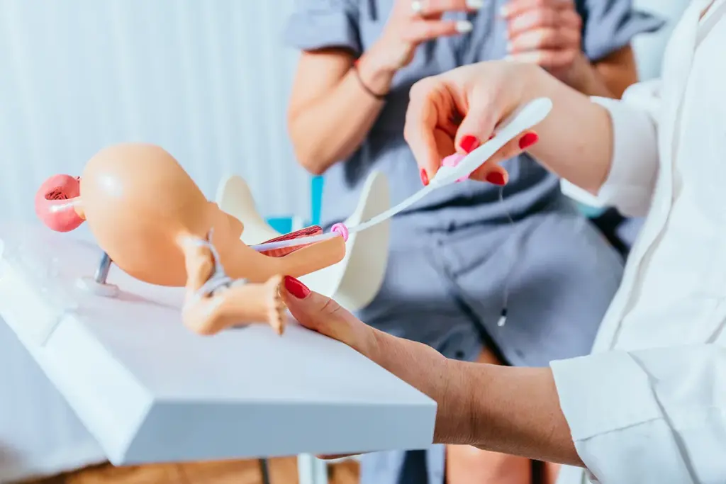 Understanding Fertility Drugs and Their Growing Importance