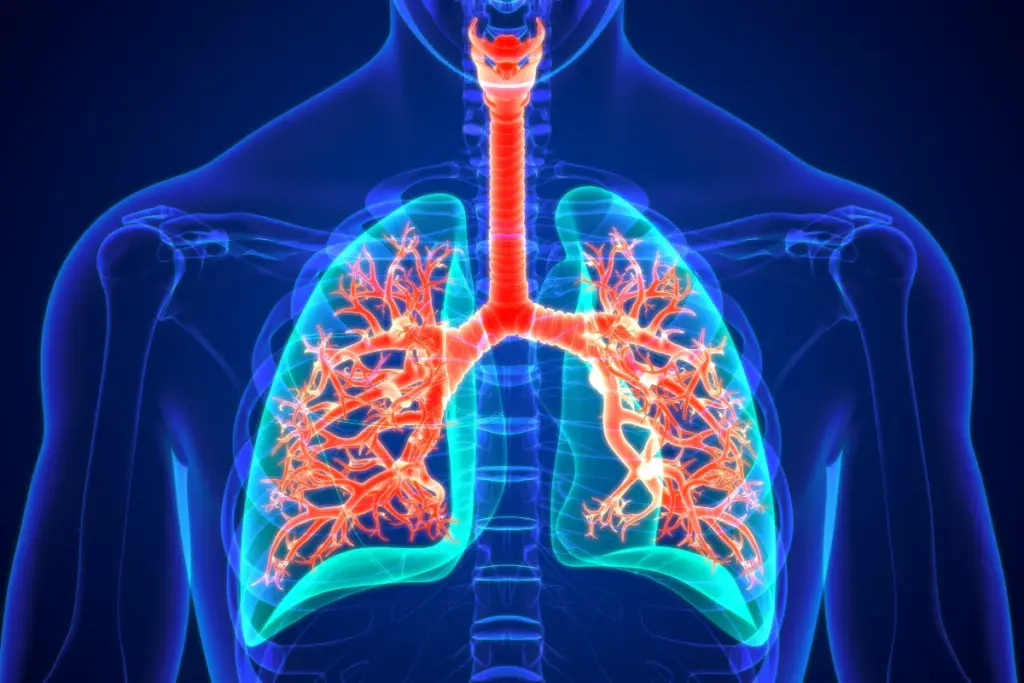 Mar 2258 image 2 LIV Hospital